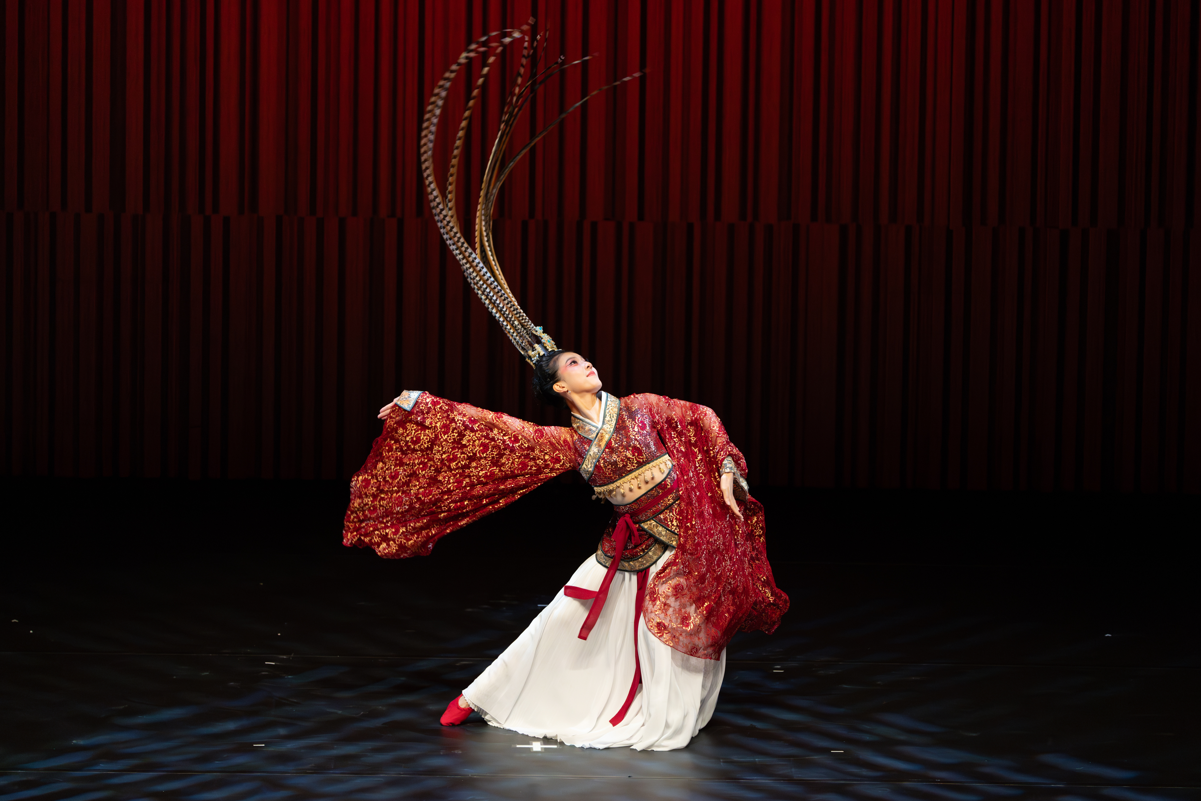 Elegance of Ancient Chinese Dances by Hong Kong Dance Company